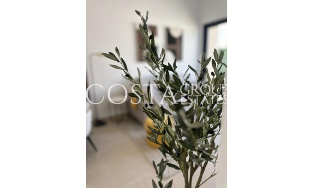 Nouvelle construction - Apartments -
San Fulgencio