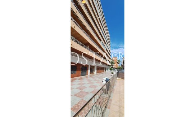 Revente - Apartments -
Torrevieja - Torrevieja Centro