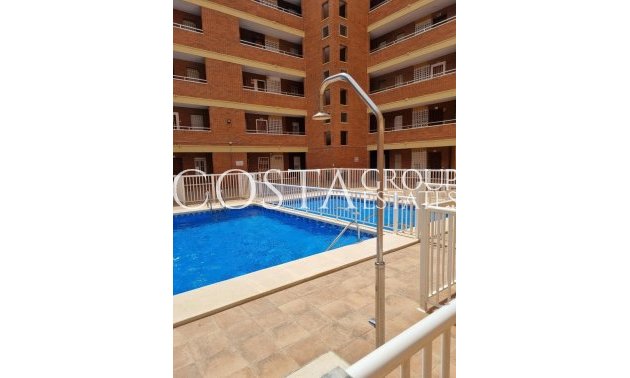 Resale - Apartments -
Torrevieja - Torrevieja Centro