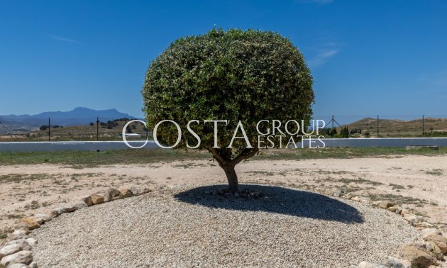 Odsprzedaż - Willa -
Jumilla - Torre del Rico