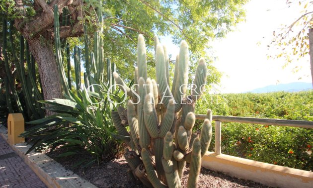 Wiederverkauf - Villa -
Murcia - Murcia City