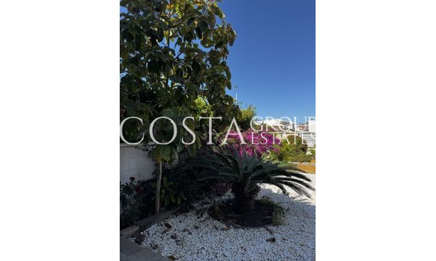 Revente - Apartments -
Torrevieja - Torrevieja Centro