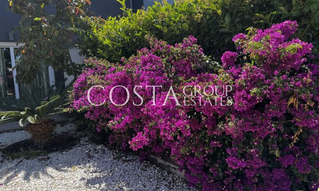 Revente - Apartments -
Torrevieja - Torrevieja Centro