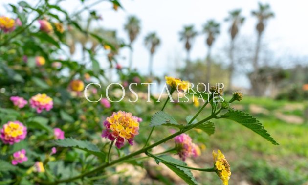 Odsprzedaż - Willa -
Orihuela - Los Altos