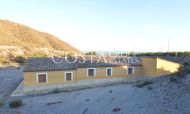 Resale - Villa -
San Javier - Las Palomas