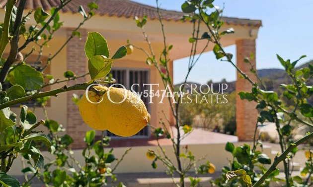 Odsprzedaż - Willa -
Fortuna - Fortuna Centro