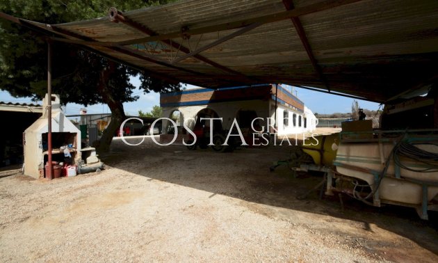 Odsprzedaż - Willa -
Guardamar del Segura - Guardamar del Segura Centro