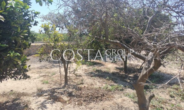 Herverkoop - Villa -
Daya Vieja - Daya Vieja Centro