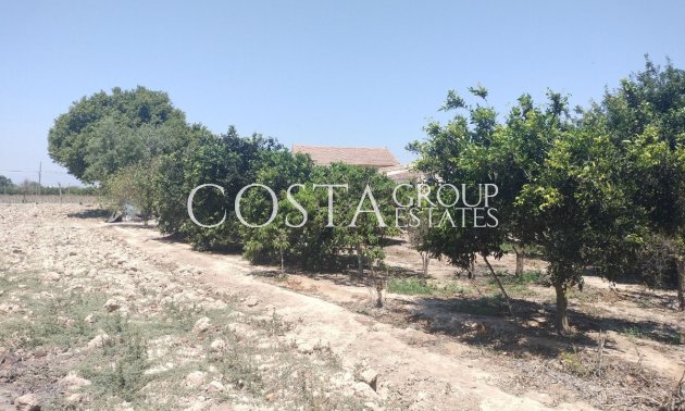 Herverkoop - Villa -
Daya Vieja - Daya Vieja Centro