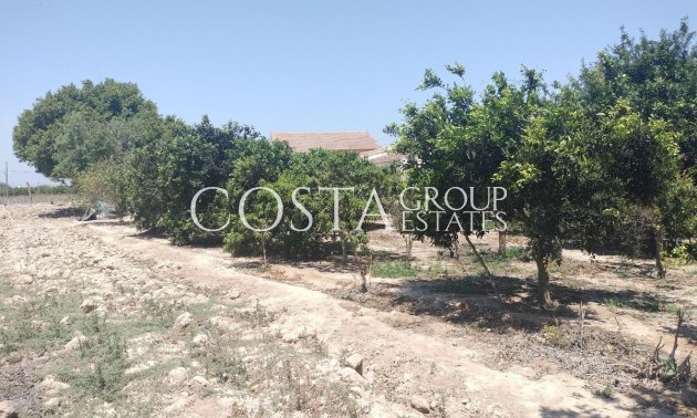 Herverkoop - Villa -
Daya Vieja - Daya Vieja Centro