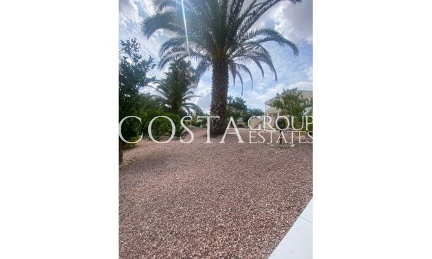 Odsprzedaż - Willa -
Algorfa - Algorfa Centro