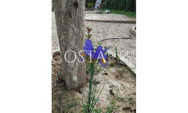 Herverkoop - Villa -
Crevillente - Crevillent - Crevillente - Crevillent Centro