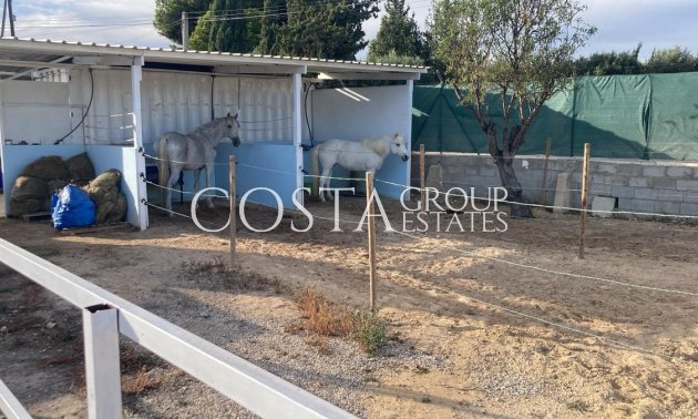 Herverkoop - Villa -
Crevillente - Crevillent - Crevillente - Crevillent Centro