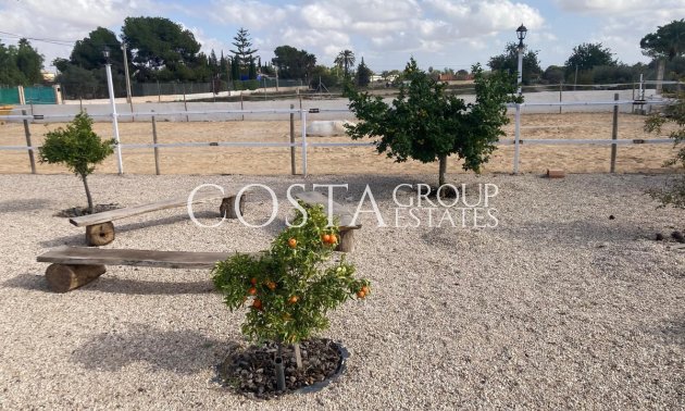 Herverkoop - Villa -
Crevillente - Crevillent - Crevillente - Crevillent Centro