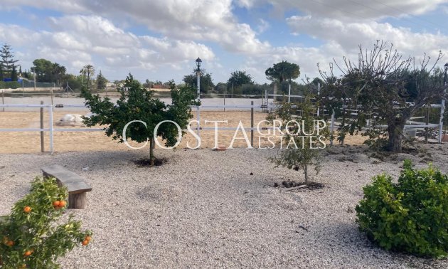 Herverkoop - Villa -
Crevillente - Crevillent - Crevillente - Crevillent Centro