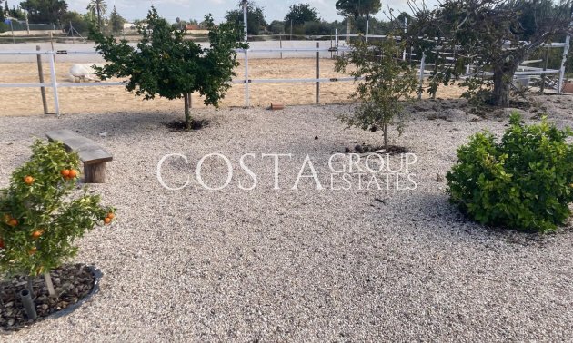 Herverkoop - Villa -
Crevillente - Crevillent - Crevillente - Crevillent Centro