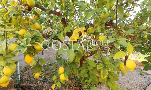 Herverkoop - Villa -
Altea - Altea Centro