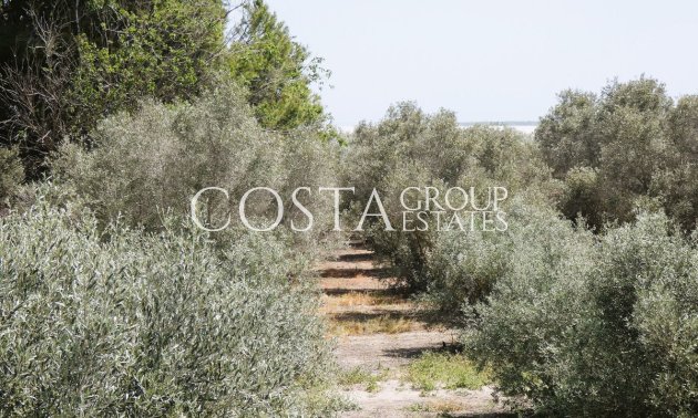 Wiederverkauf - Villa -
Dolores - Dolores Centro