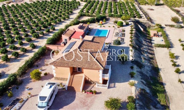 Wiederverkauf - Villa -
Benejúzar - Benejuzar Centro