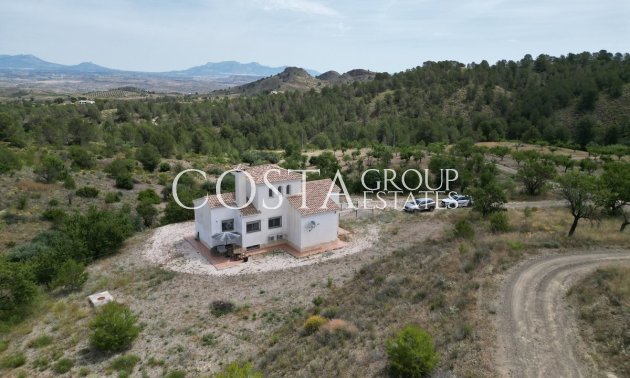 Odsprzedaż - Willa -
Lorca - Lorca Centro