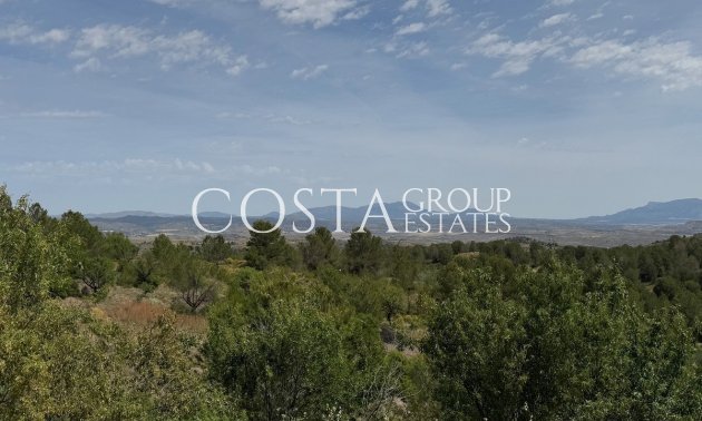 Odsprzedaż - Willa -
Lorca - Lorca Centro