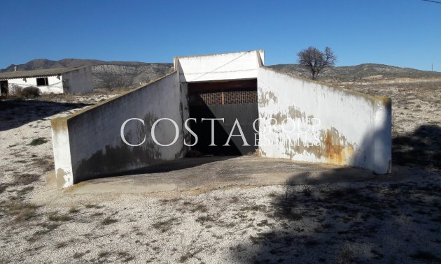 Herverkoop - Villa -
Jumilla - Torre del Rico