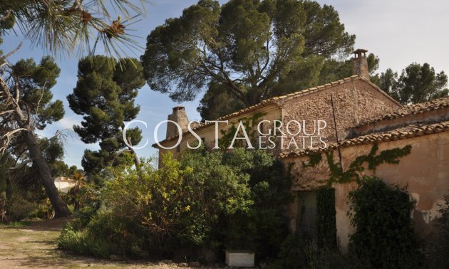 Revente - Villa -
Yecla - Yecla Centro