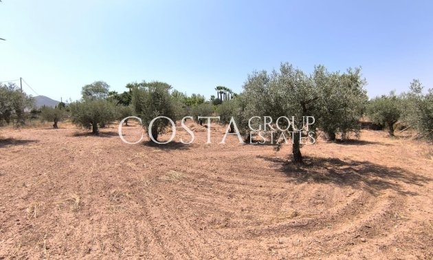 Resale - Villa -
Jumilla - Jumilla Centro