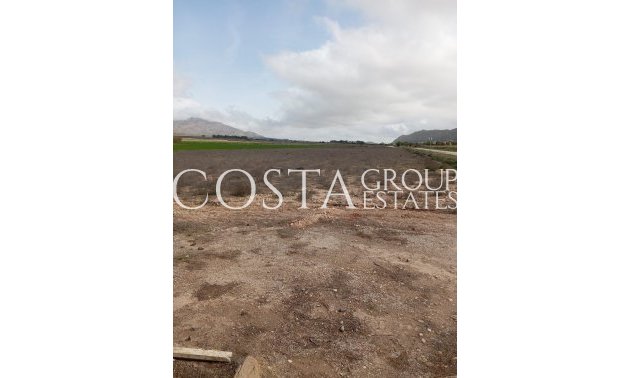 Resale - Villa -
Yecla - Yecla Centro