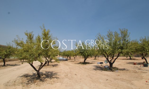 Herverkoop - Villa -
Pinoso - Pinoso Centro