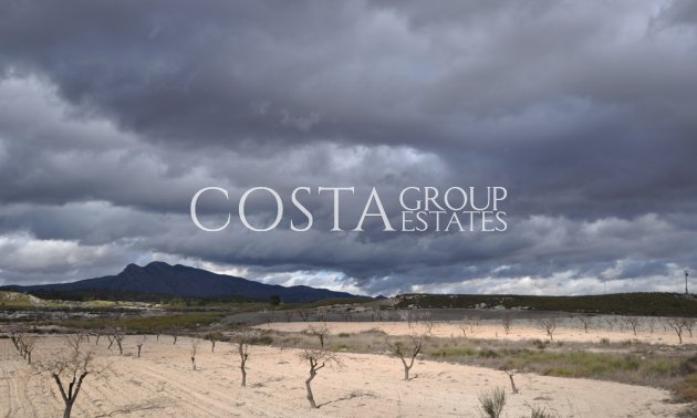 Resale - Villa -
Jumilla - Jumilla Centro