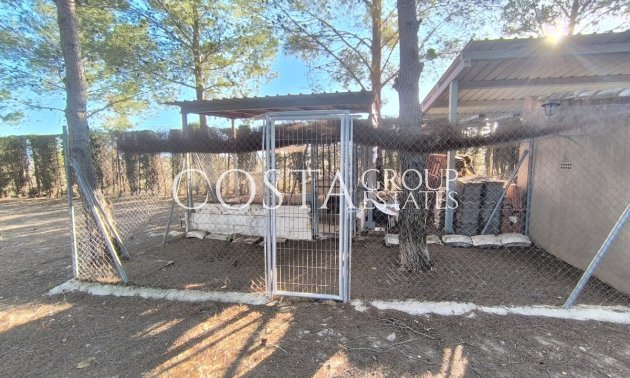 Herverkoop - Villa -
Yecla - Yecla Centro