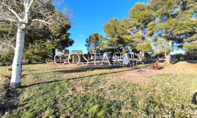 Resale - Villa -
Yecla - Yecla Centro