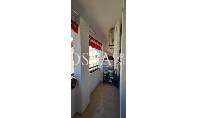 Herverkoop - Apartments -
Torrevieja - Torrevieja Centro