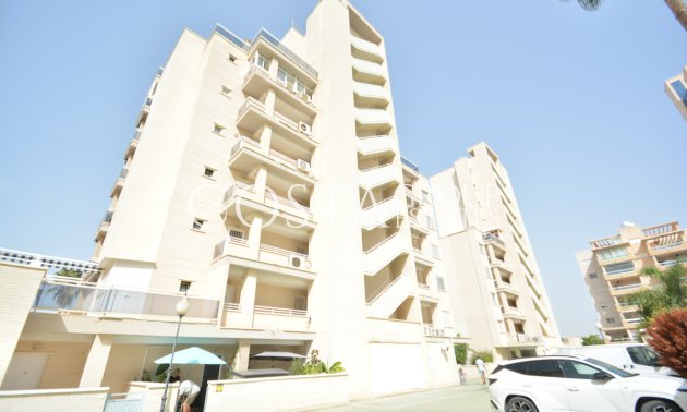 Resale - Apartments -
Guardamar del Segura - Guardamar del Segura Centro