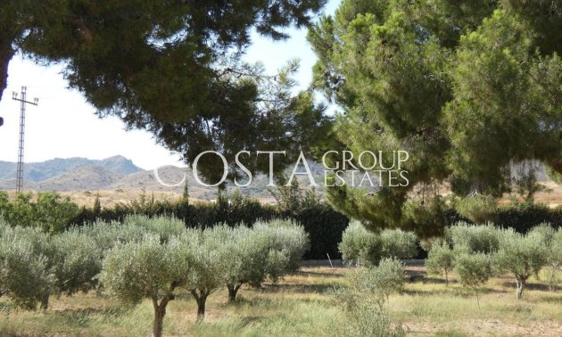 Odsprzedaż - Willa -
Mazarrón - La Atalaya