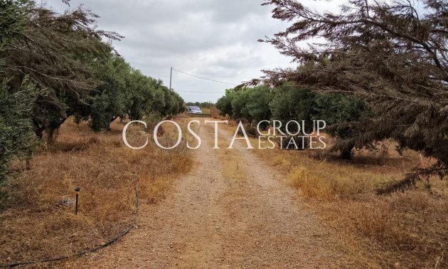 Wiederverkauf - Villa -
Cartagena - La Magdalena