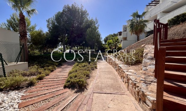 Odsprzedaż - Apartments -
San Miguel de Salinas - San Miguel de Salinas Centro