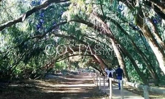 New Build - Apartments -
Torrevieja - Altos del Sol