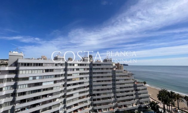 Nowy budynek - Apartament -
Calpe
