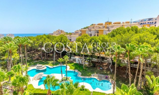 Odsprzedaż - Apartments -
Orihuela - Orihuela Costa
