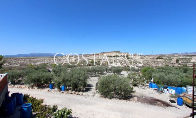 Revente - Villa -
Albudeite