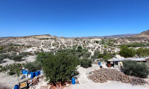 Revente - Villa -
Albudeite