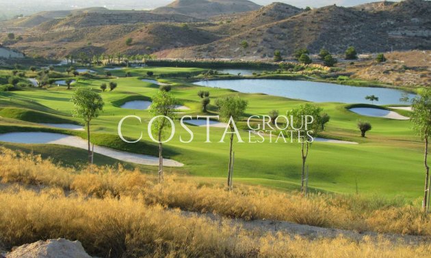 Nouvelle construction - Apartments -
Monforte del Cid