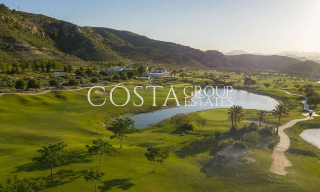 Nieuwbouw Woningen - Apartments -
Monforte del Cid