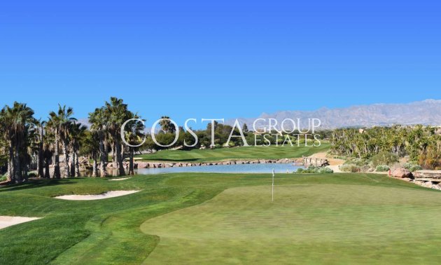 Nouvelle construction - Villa -
Cuevas del Almanzora - Villaricos