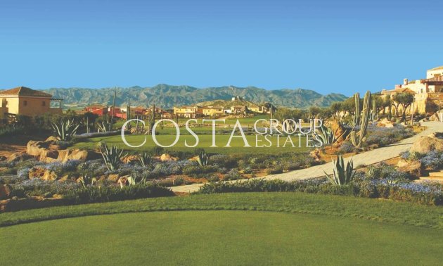 Neue Gebäude - Villa -
Cuevas del Almanzora - Villaricos