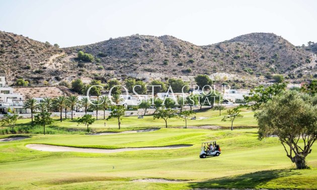 Nowy budynek - Willa -
Monforte del Cid