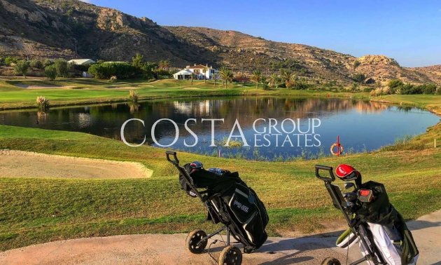 Nowy budynek - Willa -
Monforte del Cid