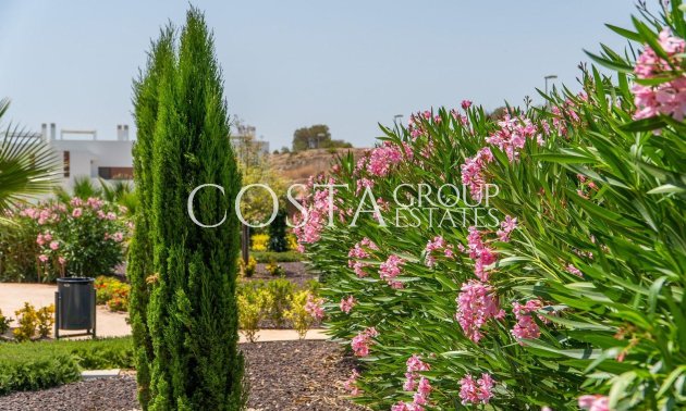 Nouvelle construction - Apartments -
Orihuela - Vistabella Golf